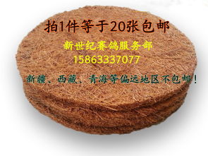 棕墊21cm與0.8cm防潮墊 品質(zhì)生活的雙重守護(hù)